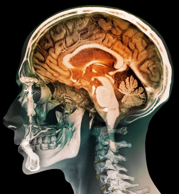 Clever clogs: Science is still some way away from fully understanding the human mind