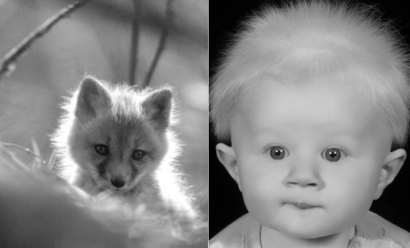 Has Crazy Hair & Creepy Eyes!