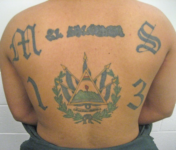 MS 13