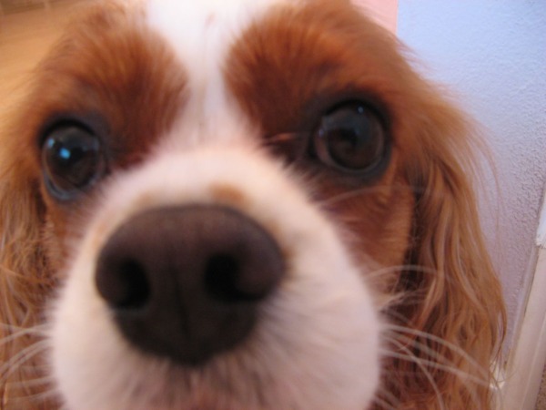 Can I Be in the Pic?