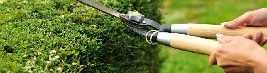 growthmaintenance