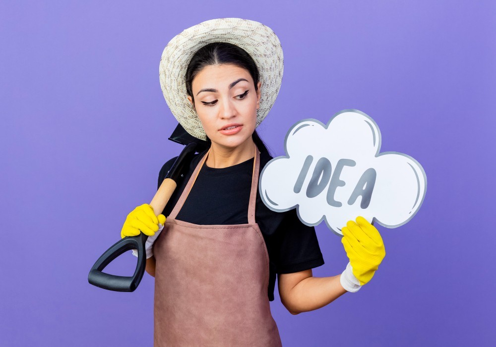 The Secret to a Clean Home: Why You Need a Professional Cleaner