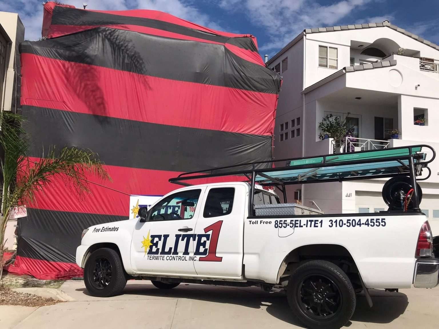 Prevent, Detect, Protect: Your Guide To Termite Control