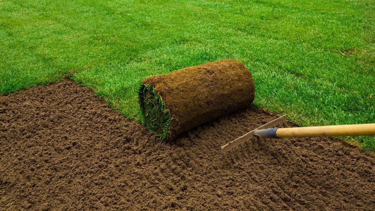 5 Common Yard Problems Fresh Top Soil Can Fix Instantly