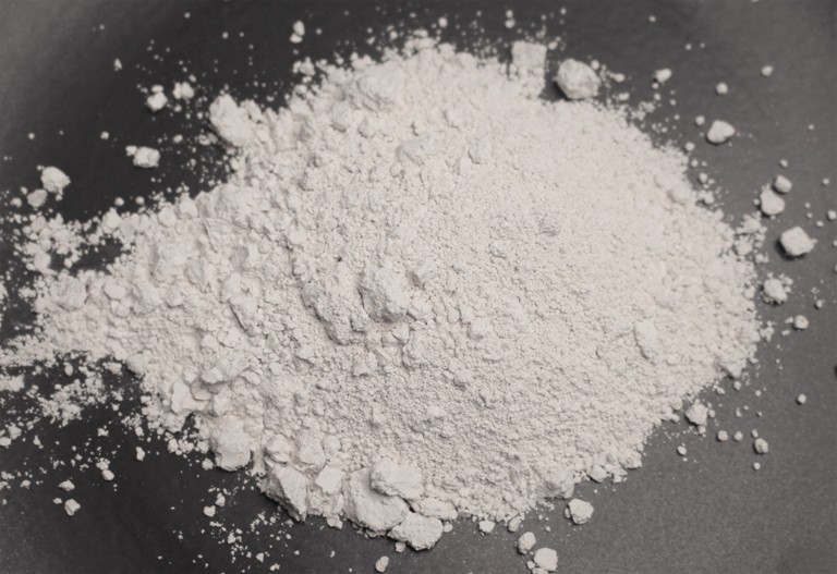 Everything You Need to Know About Diatomaceous Earth